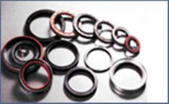 Chinasealings Group Inc. Provides Various High-Quality Oil Seals